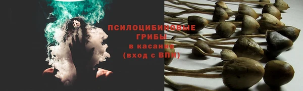 а пвп мука Магадан
