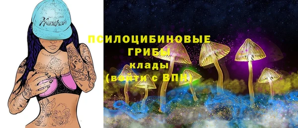 спиды Липки