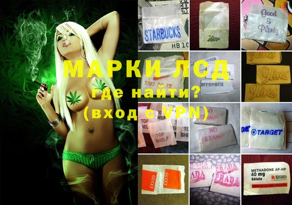 стаф Ачинск