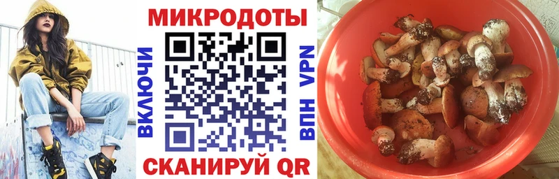 KRAKEN ONION  Медынь  Галлюциногенные грибы Cubensis 